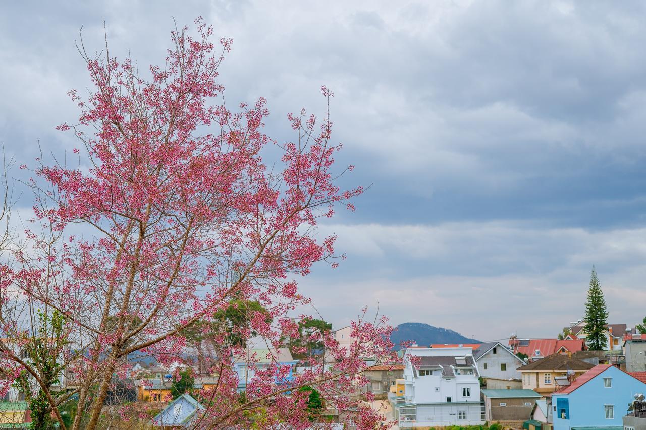 Apartamento Ruby House Dalat Exterior foto